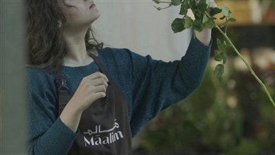 article